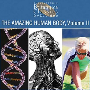 cover image of The Amazing Human Body, Volume 2: Part 3 of 5